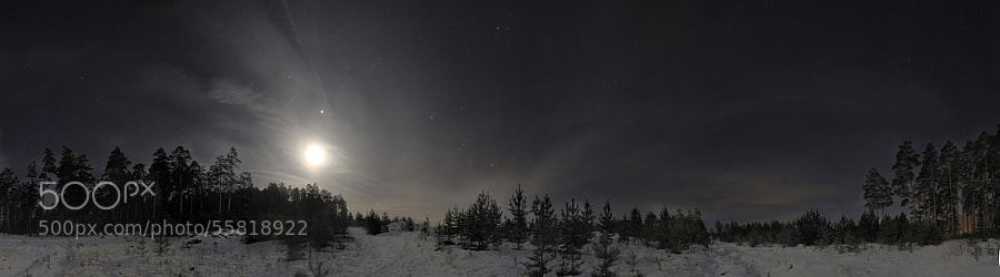 Moonlight by Maxim Tashkinov on 500px.com
