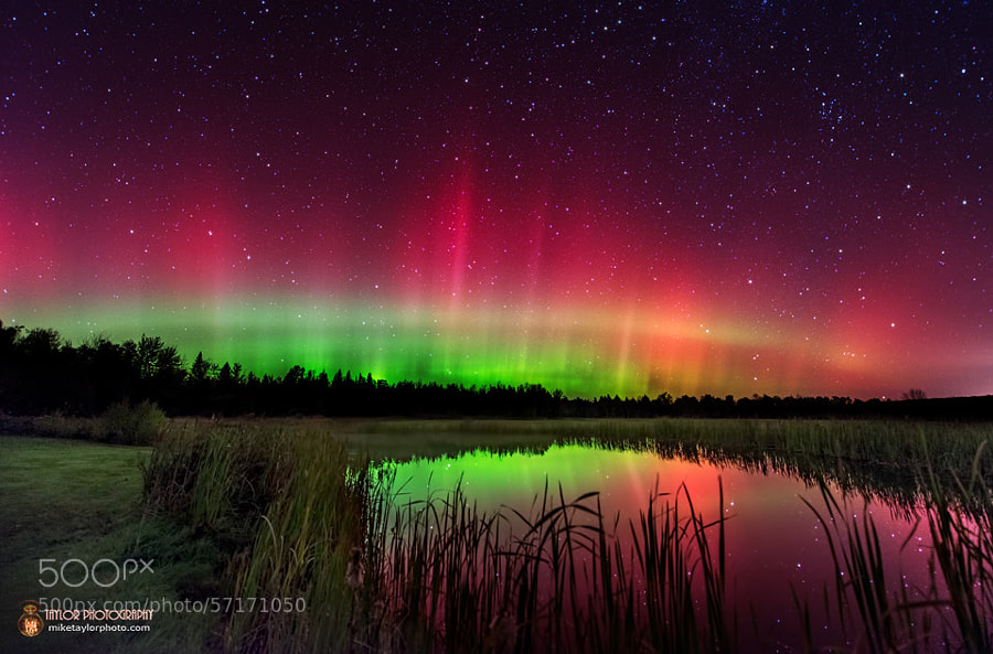 Photograph October Aurora in Maine by Mike Taylor on 500px