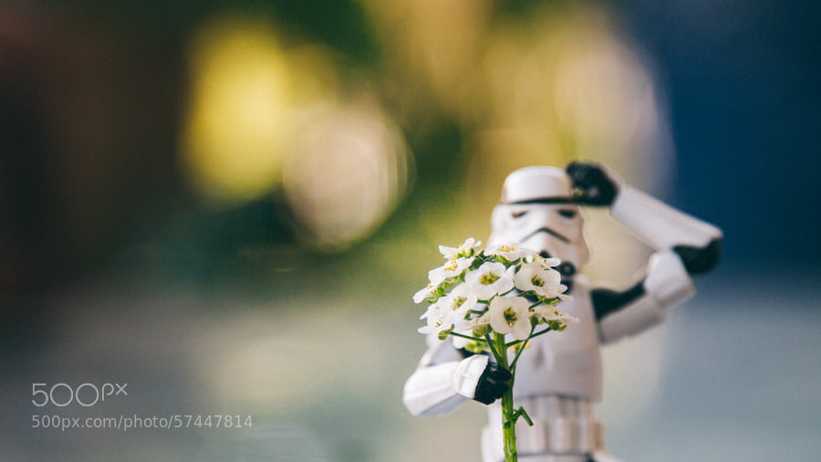 Stormtroopers -Photograph Happy Birthday! by Dima Shapira on 500px