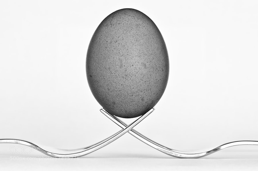 Photograph The Egg by Matteo Senesi on 500px