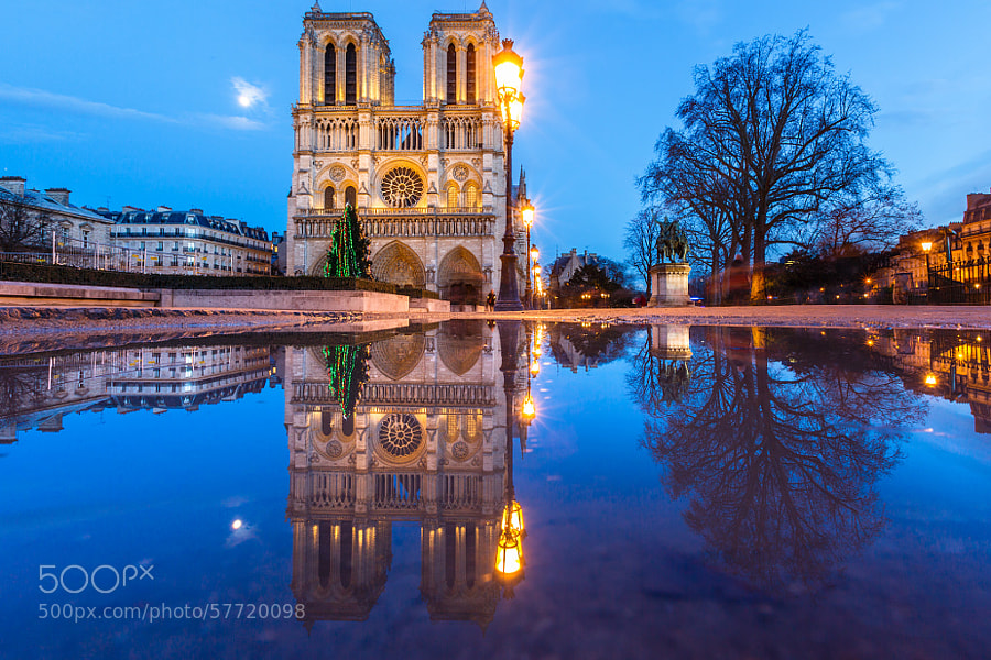 Photograph Real Wet Reflection Notre Dame Paris by Loïc Lagarde on 500px