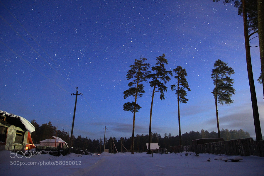 Pine Street under the starry sky by Maxim Tashkinov on 500px.com
