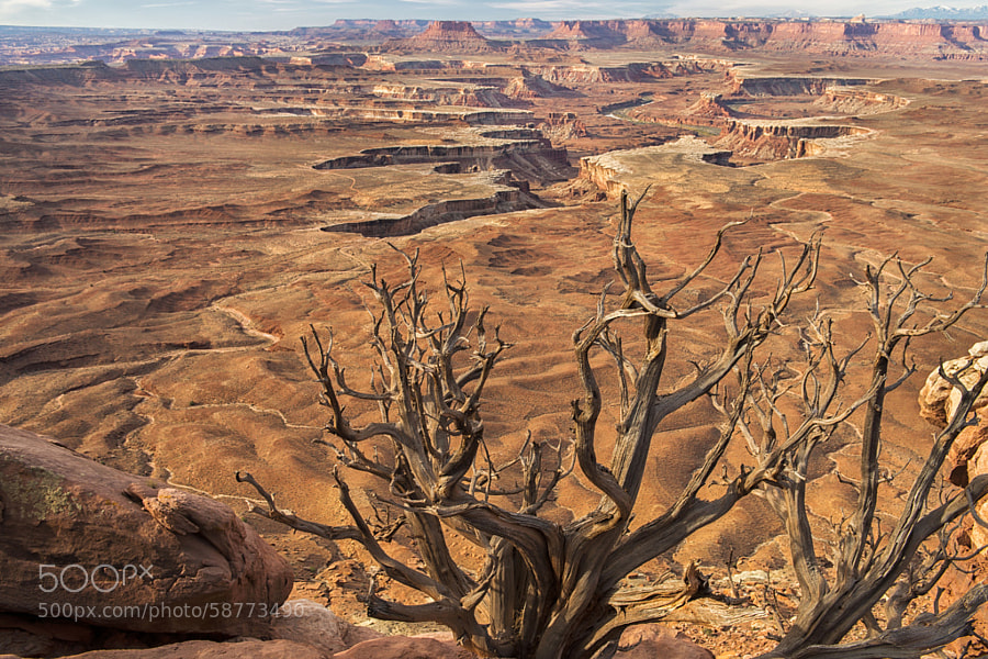 Barren by Stacy White on 500px