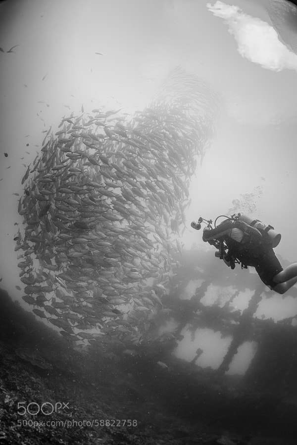 Photograph Apparition, Iro Maru, Palau by Brian Laferte on 500px