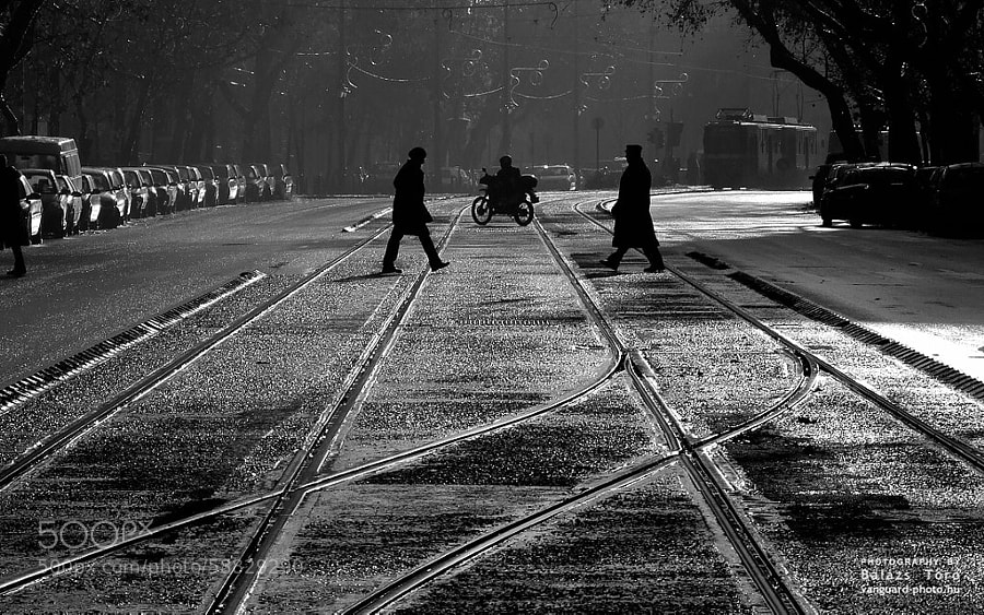 Photograph Crossing the street by Balázs Tör? on 500px