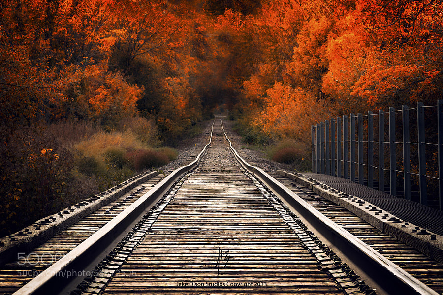 Photograph Fall Tracks by Jake Olson Studios on 500px