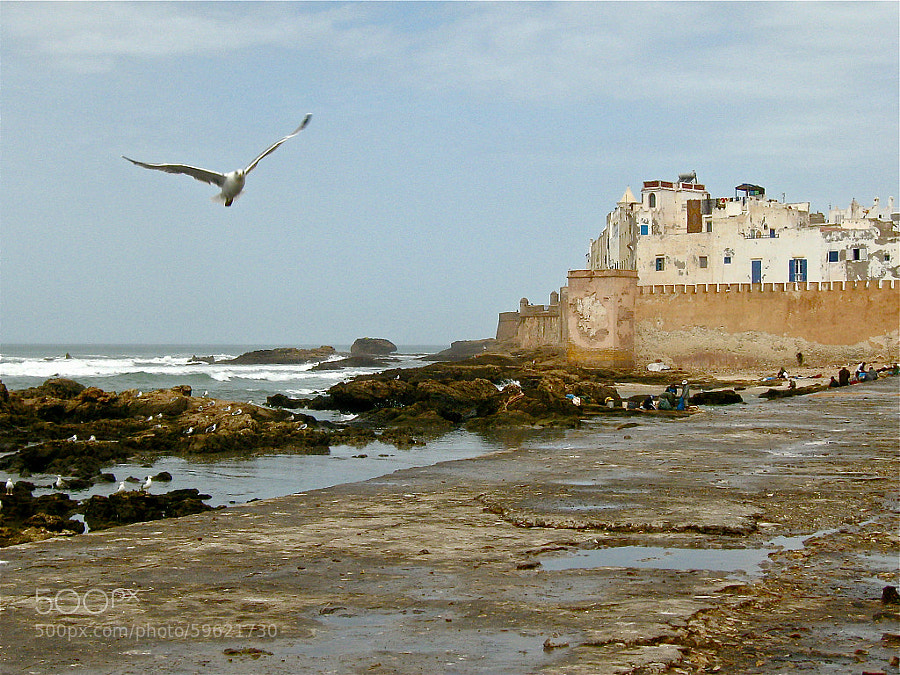 Essaouira (Marruecos) by MANUEL MARTIN ALVAREZ on 500px