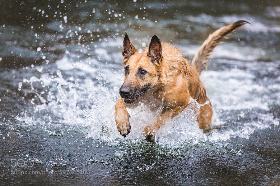 Photograph Winter water fun by Elke Vogelsang on 500px