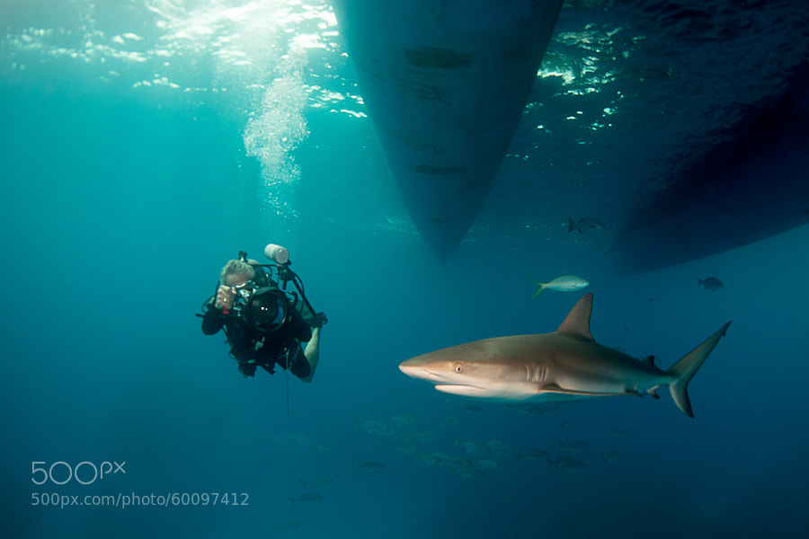 Photograph Brian with Shark, Danger Reef by Brian Laferte on 500px