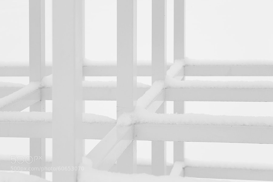 White on White by Jeff Carter on 500px.com