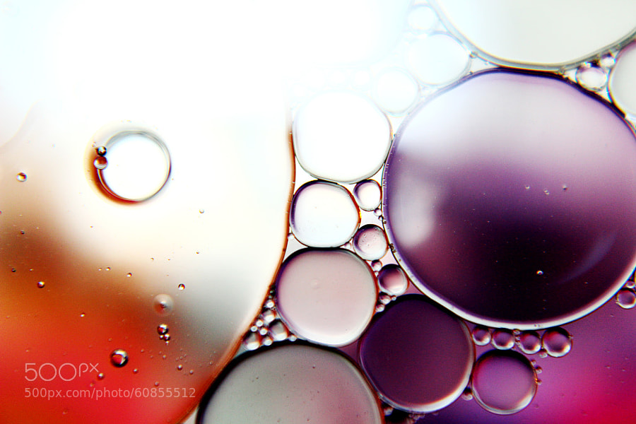 Oil and Water - Purple 2 by Jeff Carter on 500px.com