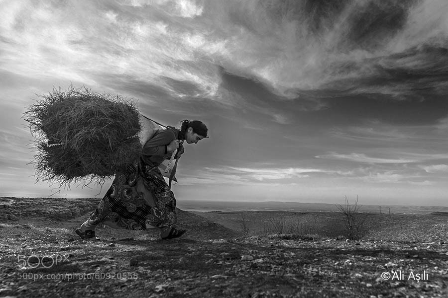 Photograph Heavy Load by Ali ASILI on 500px