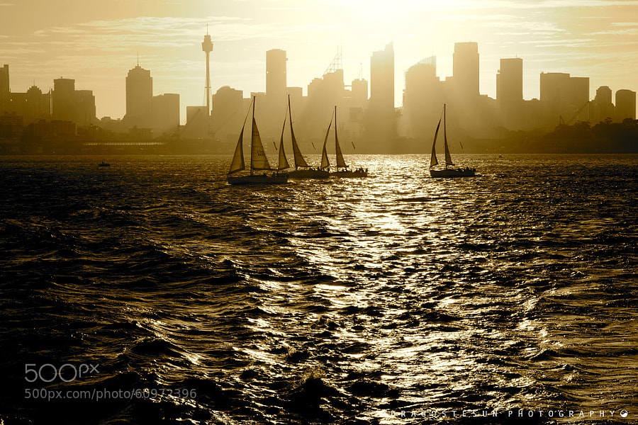 Photograph Sydney Harbour by Dragostesun Photography on 500px