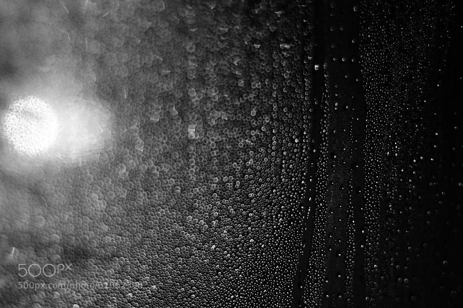 Condensation 4 by Jeff Carter on 500px.com