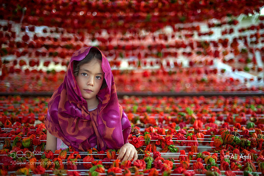 Photograph Gaziantep peppers by Ali ASILI on 500px