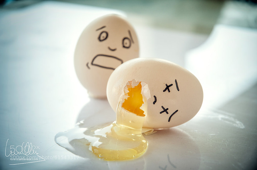 Photograph Eggs life by Lorenzo Albanese on 500px