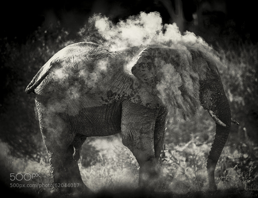 Photograph Dust by Chris Fischer on 500px