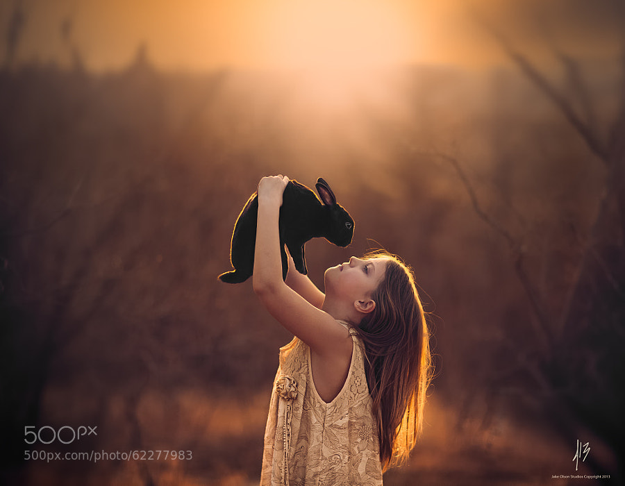 Photograph Another Life by Jake Olson Studios on 500px