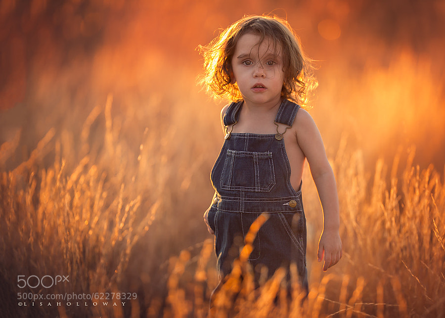 Photograph Golden Boy by Lisa Holloway on 500px