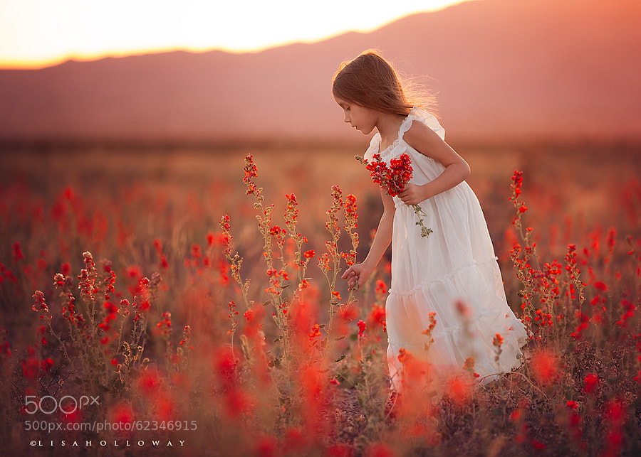 Photograph Dreaming of Spring by Lisa Holloway on 500px