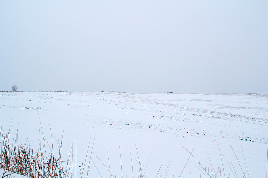 Photograph Iowa Landscape (winter) by Jeff Carter on 500px