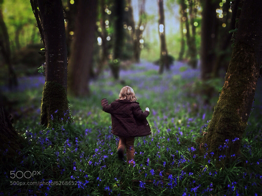 Photograph Tiptoeing Through The Bluebells by Paul Moore on 500px