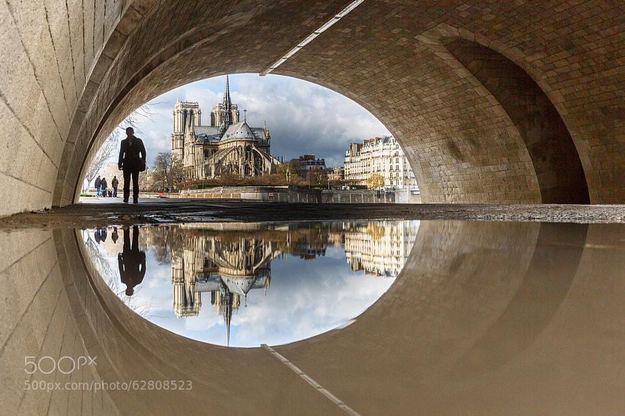 Photograph Puddle Mirror Reflection on Notre Dame by Lo  c Lagarde on 500px