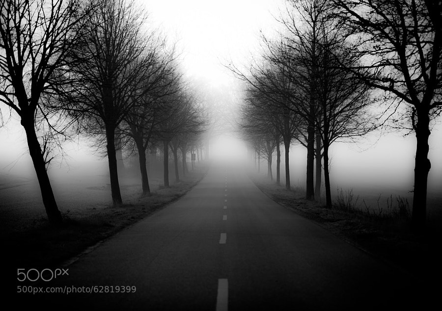 Photograph Misty Road by Dirk Siemer on 500px