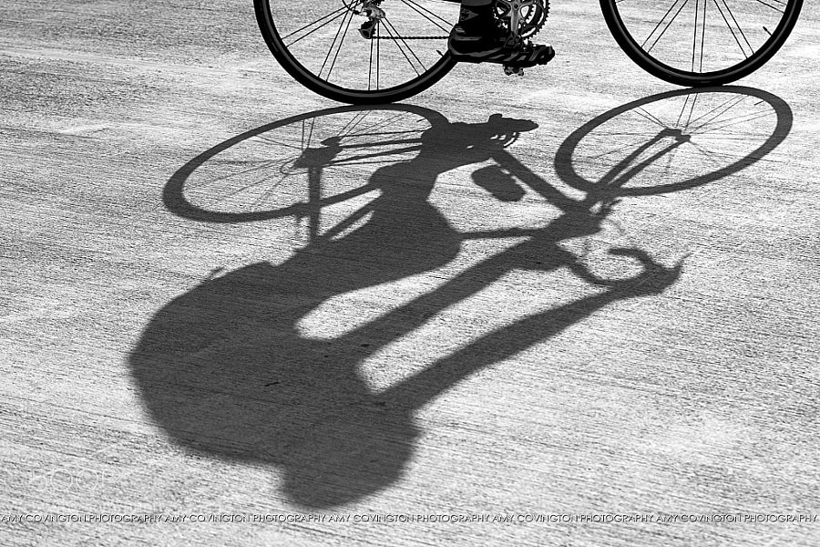 Photograph 38/365 : Shadow of an afternoon ride by Amy Covington on 500px