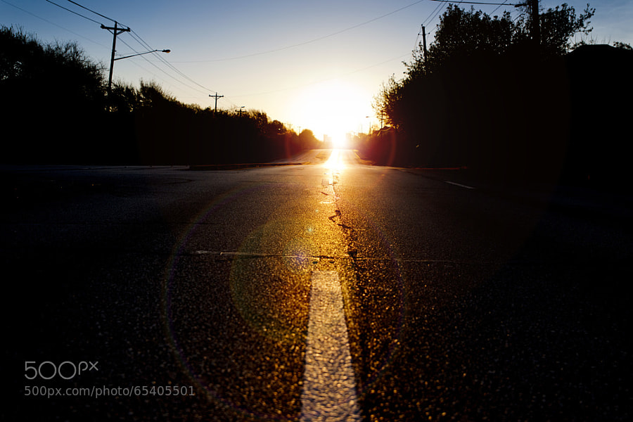 Photograph 86/365 Golden Highway by Mark DeCamp on 500px