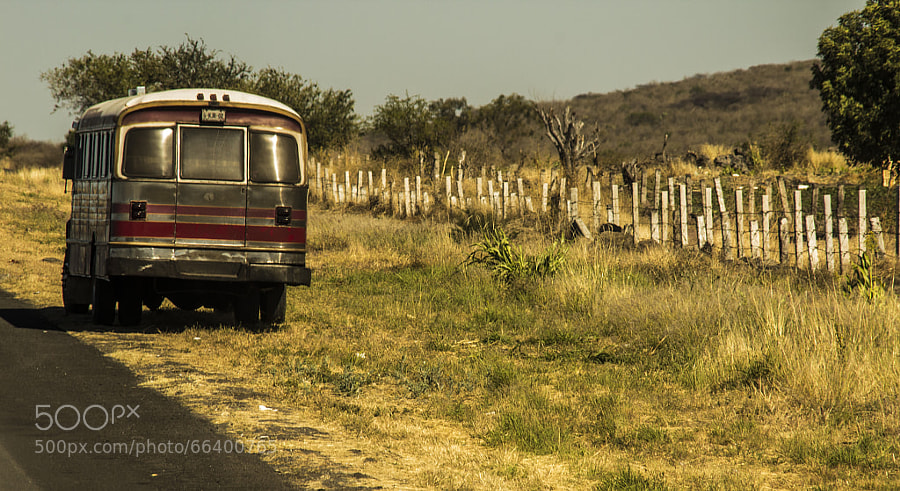 Photograph Bus by Norman Garcia on 500px