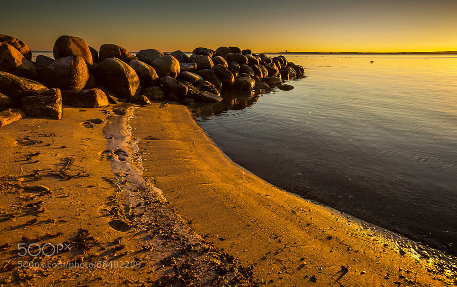 Photograph Golden Beach by Dirk Siemer on 500px
