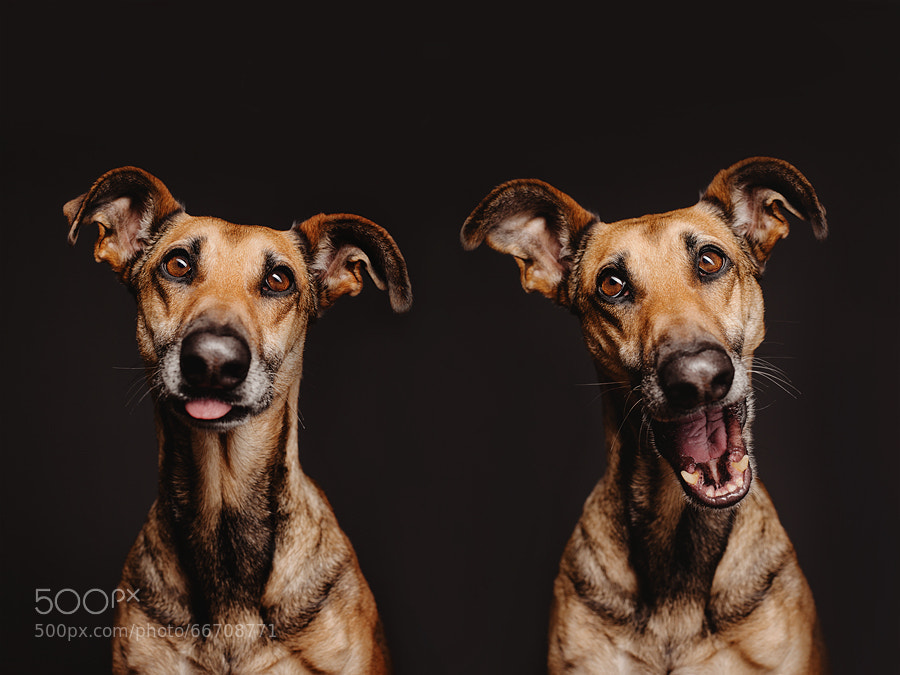Photograph FacialExercises by Elke Vogelsang on 500px