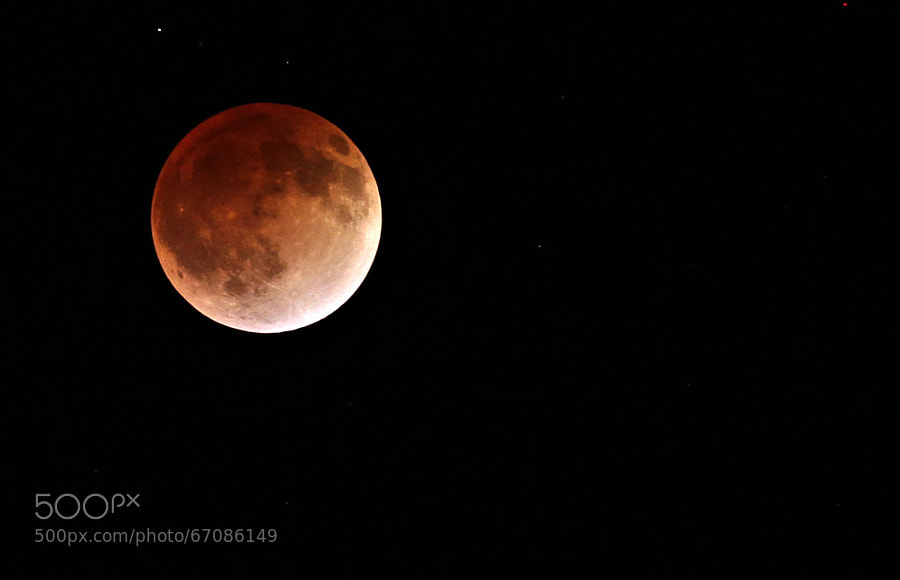 Photograph Bloodmoon Near Peak of the Eclipse by Brian LaFrance on 500px