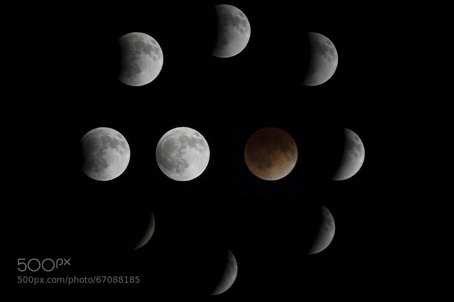 Photograph Blood Moon Progression by Justin Ehlert on 500px