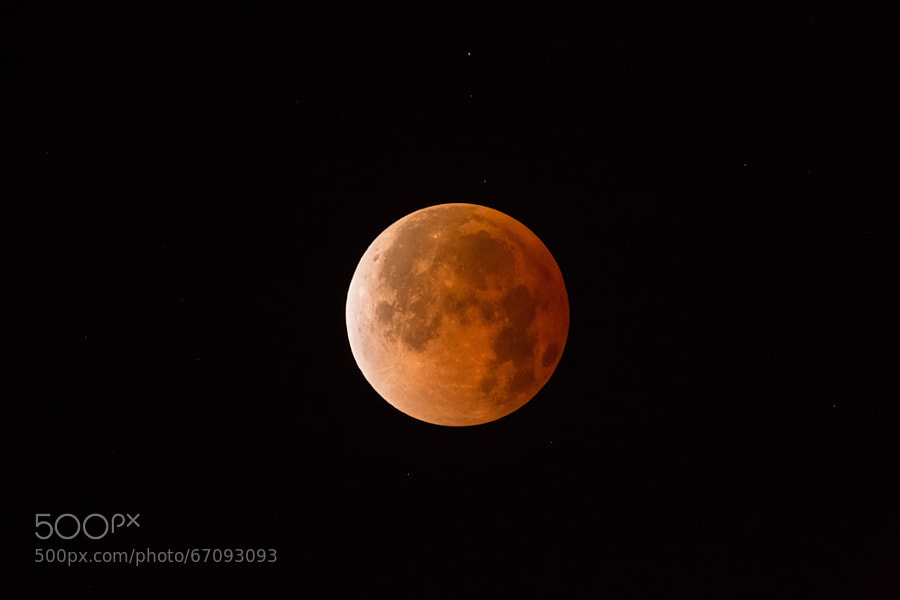 Photograph Blood Moon - Total Lunar Eclipse - April 15 2014 by Hector Vilorio on 500px
