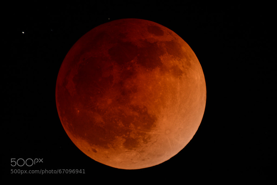 Photograph Bloody Moon - Eclipse de luna roja by Jesús Castro on 500px