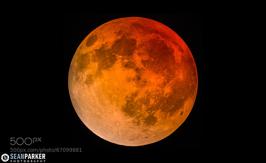 Photograph Blood Moon 2014 by Sean Parker on 500px