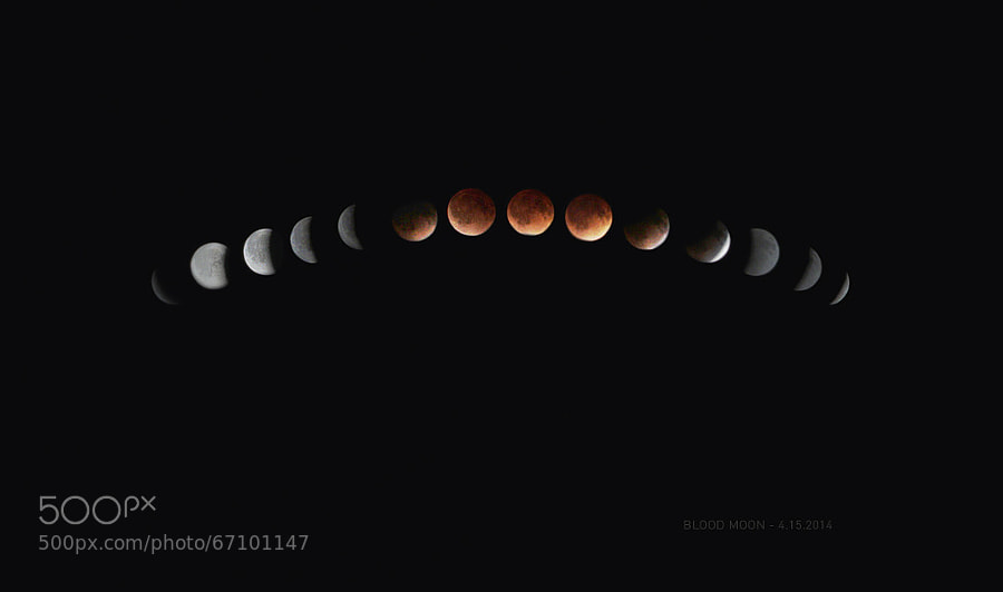 Photograph Total Lunar Eclipse & Blood Moon Sequence by Lane Lehman on 500px