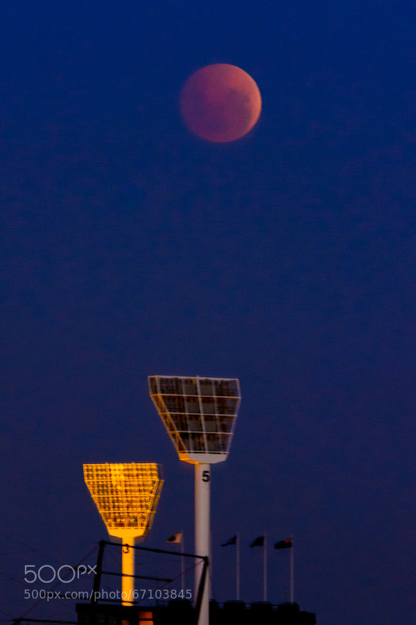 Photograph Red Moon Rising over the MCG by Wolf Cocklin on 500px