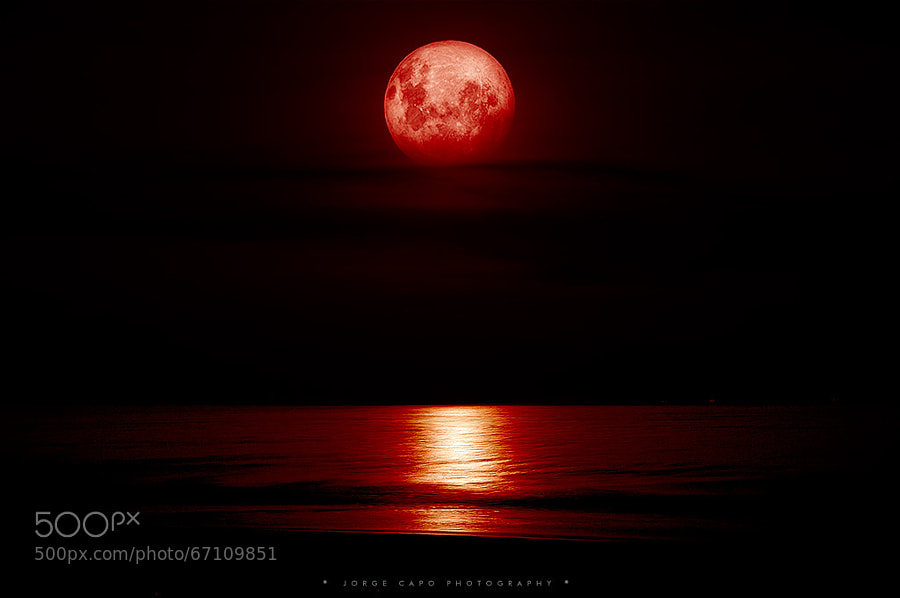 Photograph blood moon by Jorge Capo on 500px