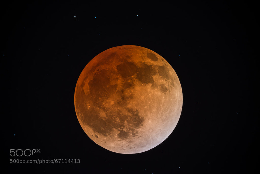 Photograph Blood Moon Over California by T Dingle on 500px