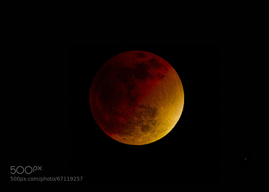 Photograph BLOOD MOON by Jack Gray on 500px
