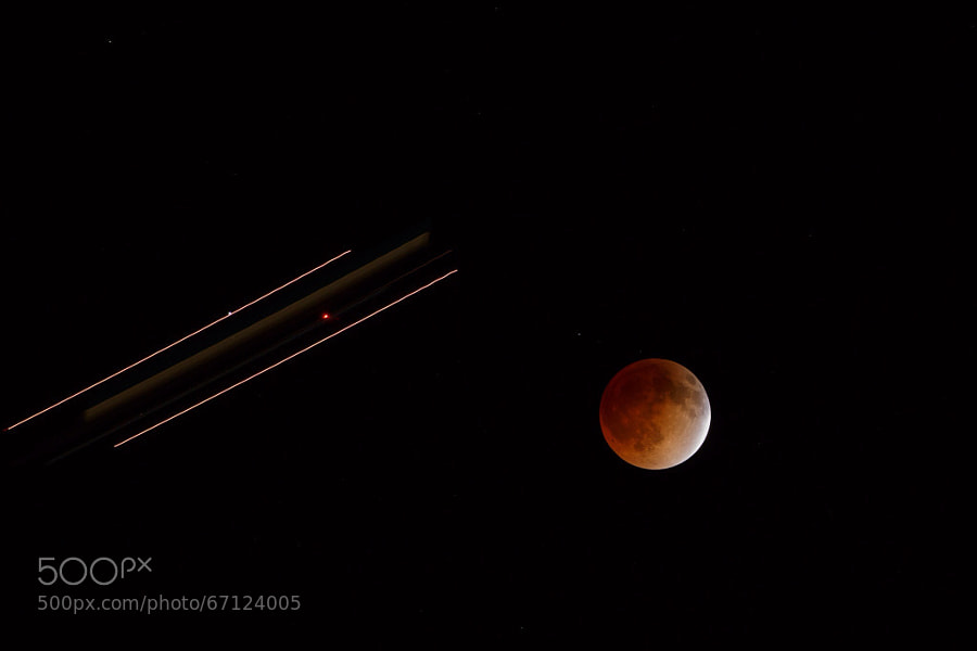 Photograph Blood Moon by Leon DeSimone on 500px