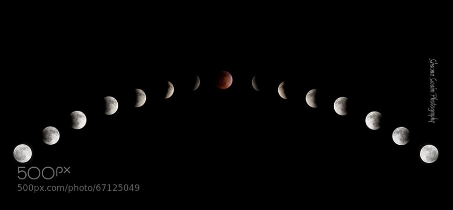 Photograph Lunar Eclipse Swaim Photography by Shawna Swaim on 500px