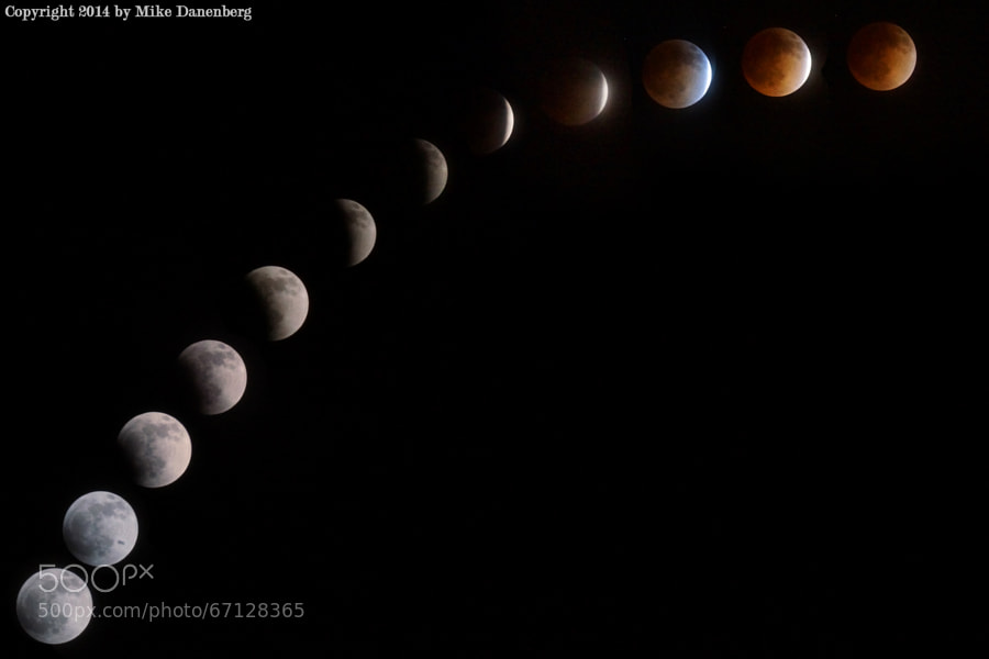 Photograph Blood Moon Eclipse by Mike Danenberg on 500px