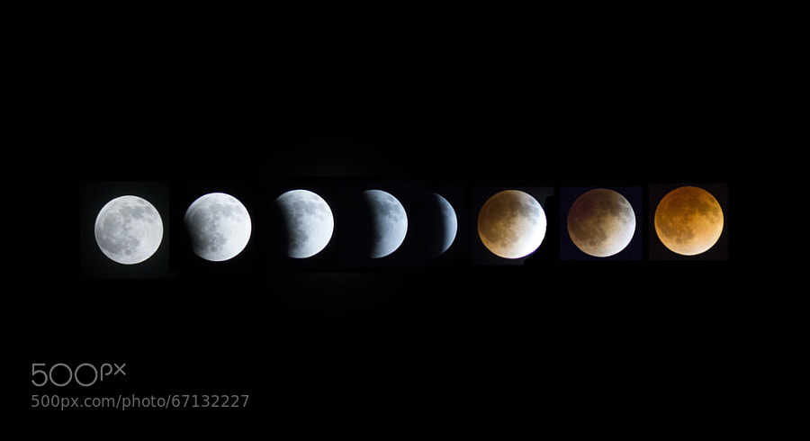 Photograph Blood Moon progression by Michael Pettingill on 500px