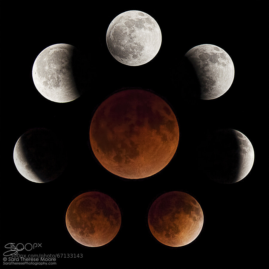Photograph Blood Moon by Sara Therese Photography on 500px