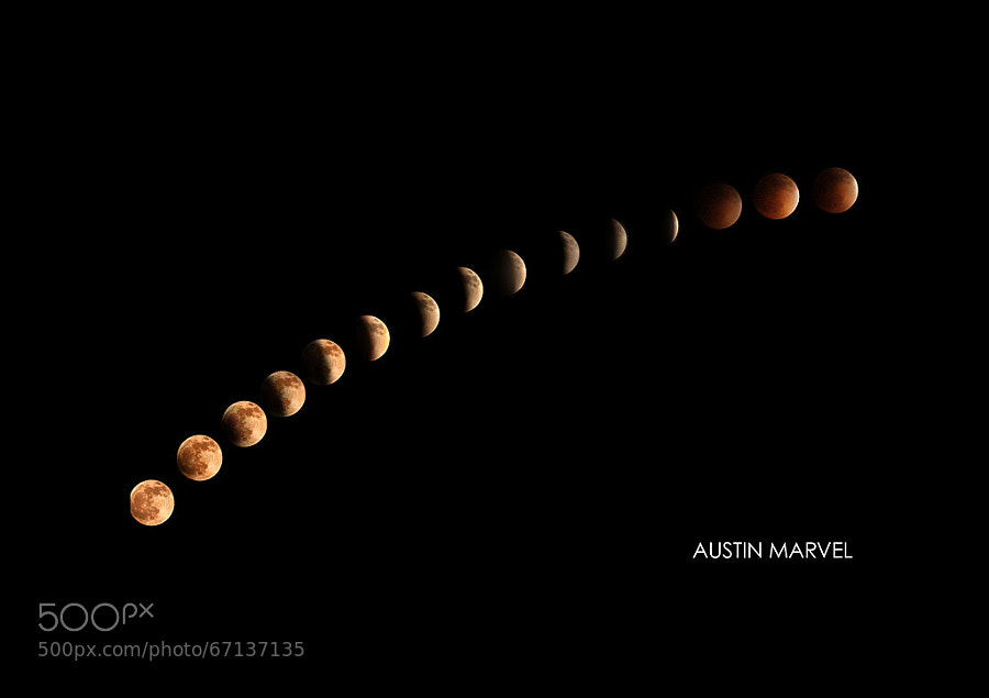 Photograph Blood Moon 2014 by Austin Marvel on 500px
