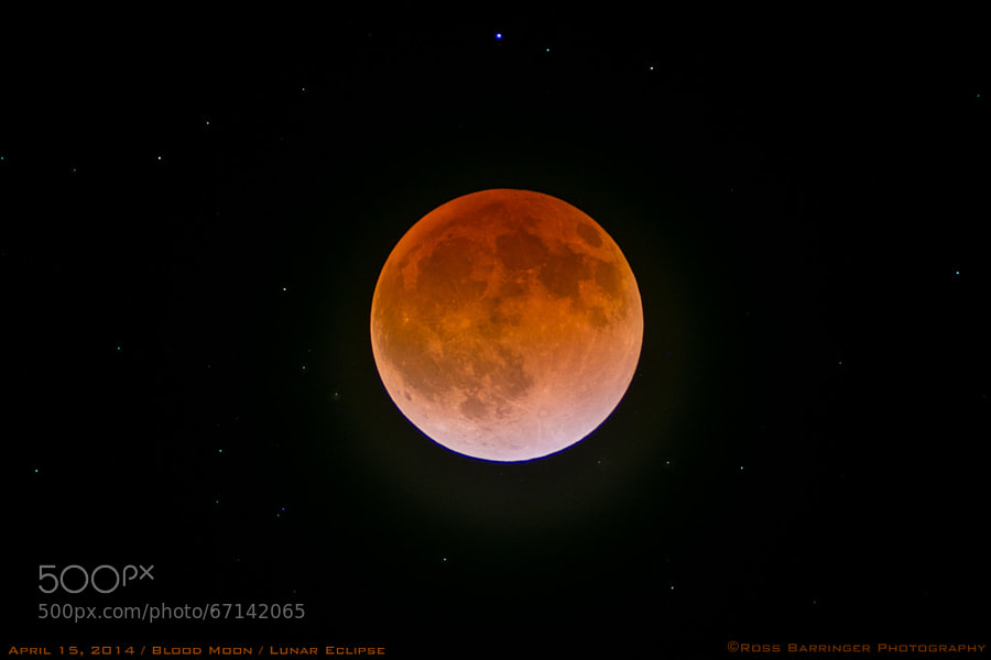 Photograph Blood Moon 02 by Ross Barringer on 500px